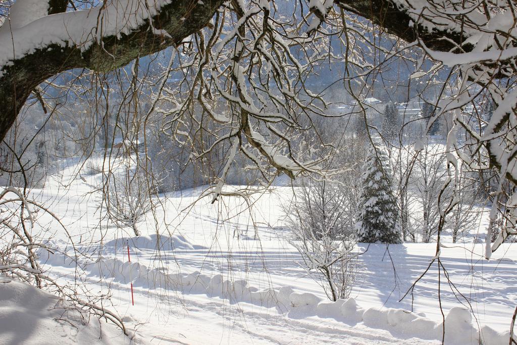 Leitnerhof Otel Bad Reichenhall Dış mekan fotoğraf